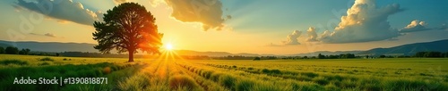 Sunlight filtering through tree onto lush green meadow with panoramic rural landscape under clear blue sky at sunset,  green,  tree