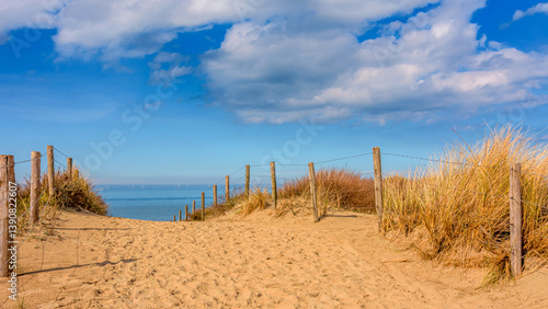 Sand dune at the beach in Katwijk aan Zee, Netherlands