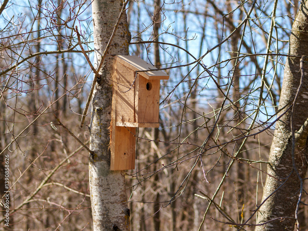 A wooden birdhouse is mounted on a tree trunk surrounded by bare branches. The setting captures the tranquility of a forest in early spring with clear blue skies. A wooden birdhouse is mounted on a tree trunk surrounded by bare branches. The setting captures the tranquility of a forest in early spring with clear blue skies.