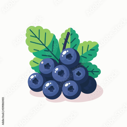 berry, jostaberry, organic, dessert, plant, nature, harvest, gooseberry, food, currant, ripe, vitamin, isolated, vegetarian, dieting, culinary, juneberry, illustration, huckleberry, hand drawn, superf