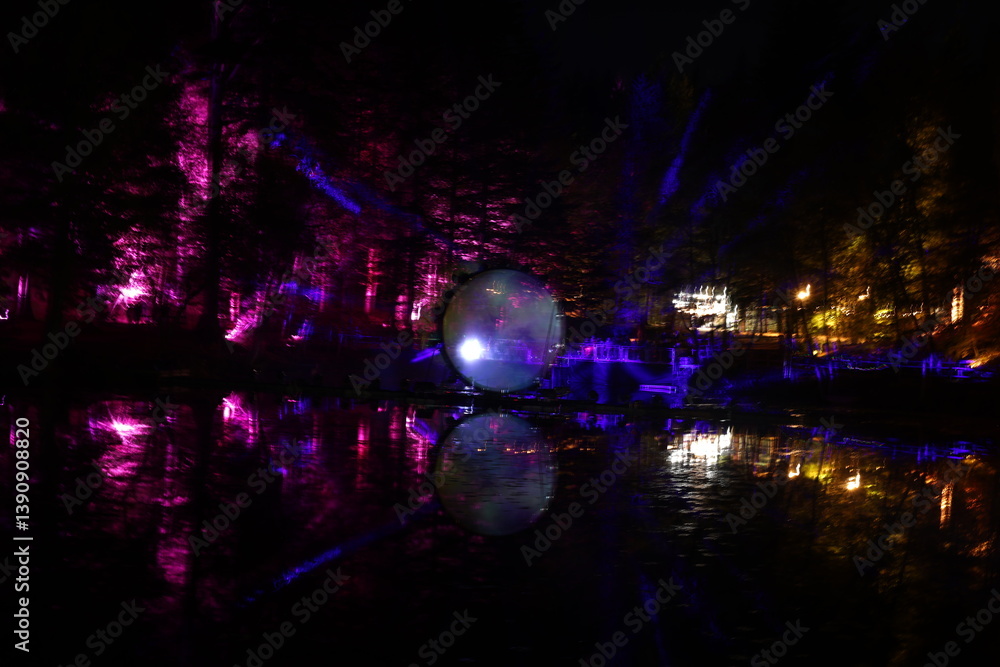 Fototapeta premium light display in the forest lake