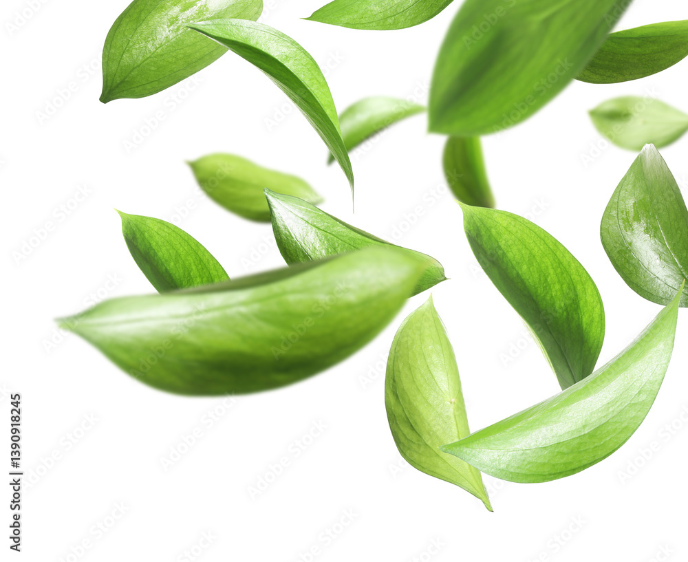 Many fresh green leaves flying on white background Many fresh green leaves flying on white background