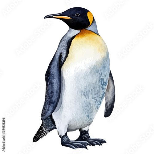A watercolor painting of Emperor penguin, isolated on a white background. Emperor penguin vector

