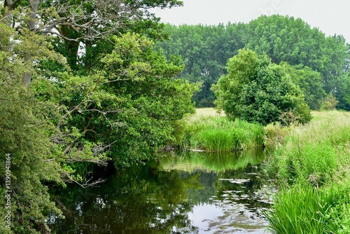 Pond surrounded by green trees in summer, England, UK