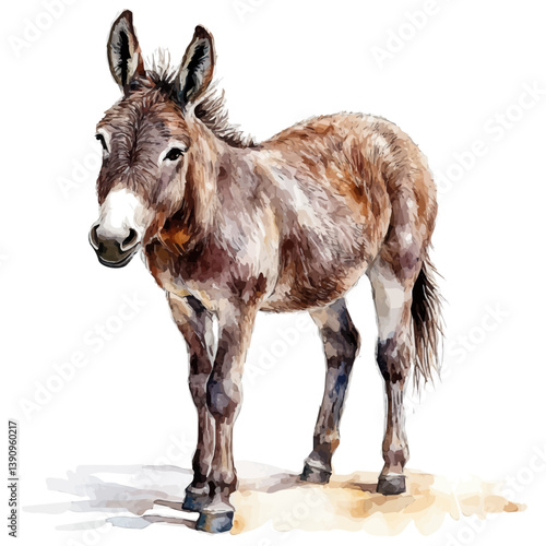 A watercolor painting of Donkey, isolated on a white background. Donkey vector

