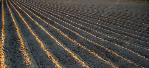 Фотография even furrows on a plowed field in the rays of the setting sun