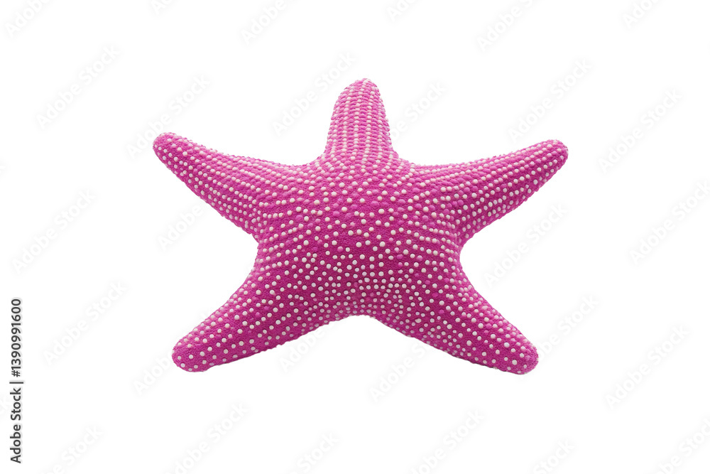 Pink starfish with a lot of dots on it, isolated Pink starfish with a lot of dots on it, isolated