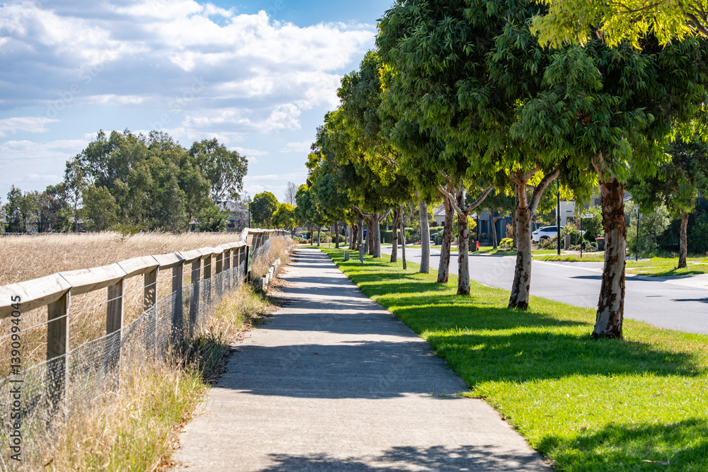 An orderly, tree-lined street provides pleasant shade over the footpath in a suburban neighborhood in Melbourne, creating a lush and comfortable environment for pedestrians.Williams Landing, Australia An orderly, tree-lined street provides pleasant shade over the footpath in a suburban neighborhood in Melbourne, creating a lush and comfortable environment for pedestrians.Williams Landing, Australia