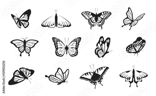 Silhouettes of butterflies. Monochrome Insect butterfly black winged gorgeous insect set isolated vector illustration