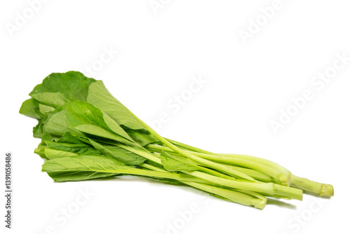 Obraz na płótnie Green and fresh Choy Sum isolated on white background. w salonie