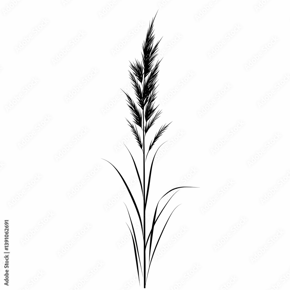 Elegant Black and White Botanical Illustration of Pampas Grass: A Vintage and Rustic Nature Art Design Elegant Black and White Botanical Illustration of Pampas Grass: A Vintage and Rustic Nature Art Design