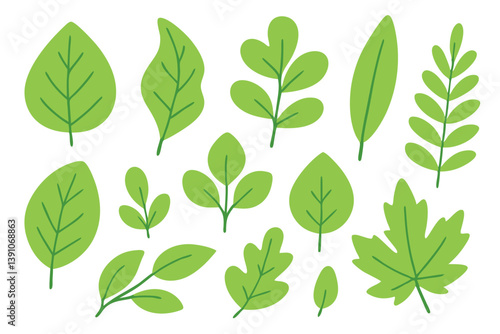 Coleção de folhas verdes em vetor PNG e SVG— ideal para projetos gráficos, convites, decoração ecológica e papelaria criativa