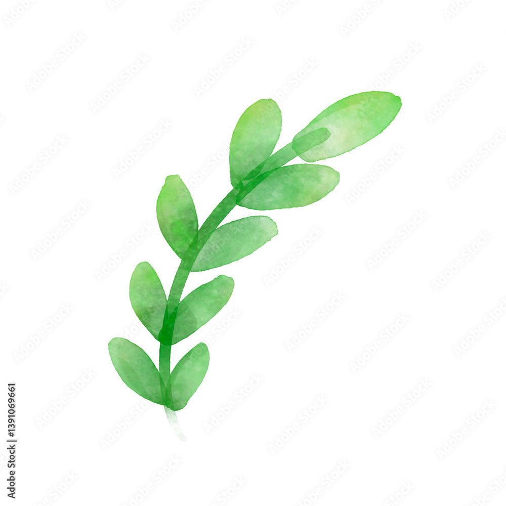 Fototapeta premium Watercolor Green Sprig: Delicate Leaf Branch Illustration