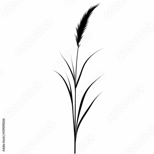 Minimalist Botanical Silhouette. Abstract Black and White Grass and Fern Design