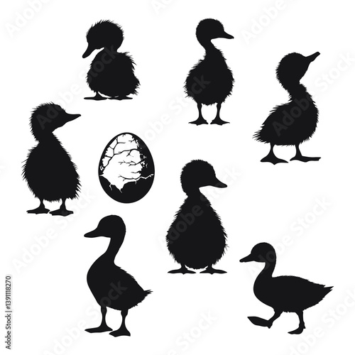 farm animal newly born duck silhouettes set  Vector Bundle
