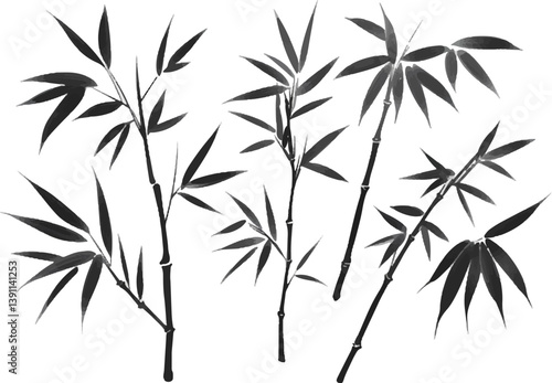bamboo vector illustration