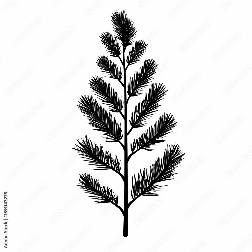 Obraz premium Elegant Botanical Illustration of Evergreen Leaf and Branch Silhouettes: Nature Inspired Design for Organic Decor and Gardening