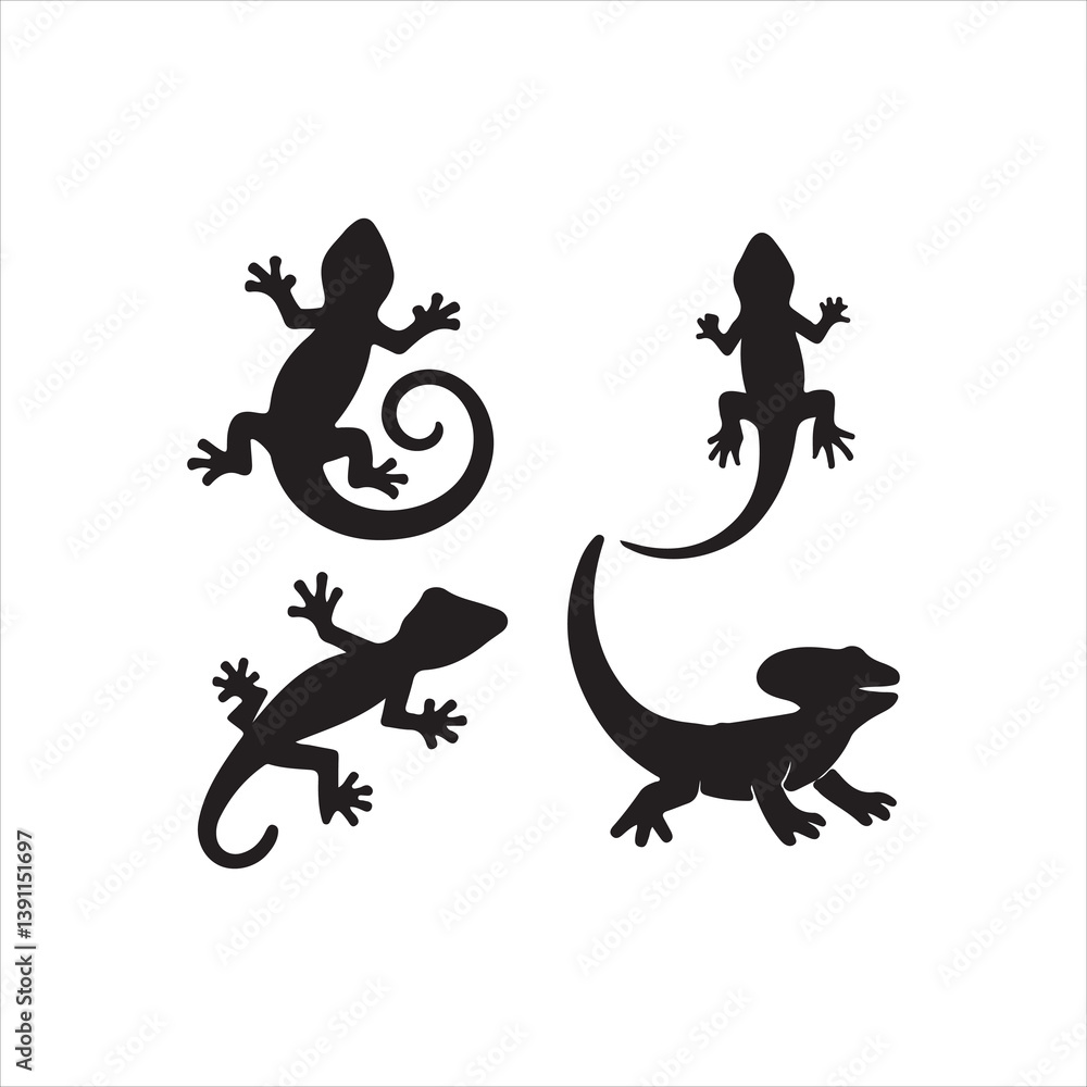 Fototapeta premium vector image of a dragon