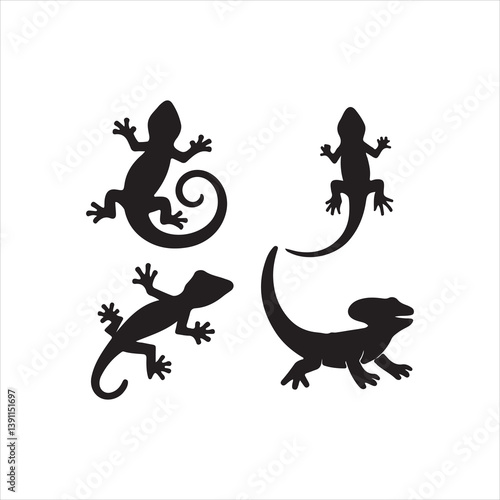 vector image of a dragon