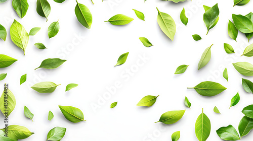 Wallpaper Mural Fresh Green Leaves Scattered on White Background Torontodigital.ca