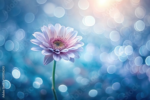 A single delicate bloom, pastel petals unfurling in soft, ethereal light, bokeh background
