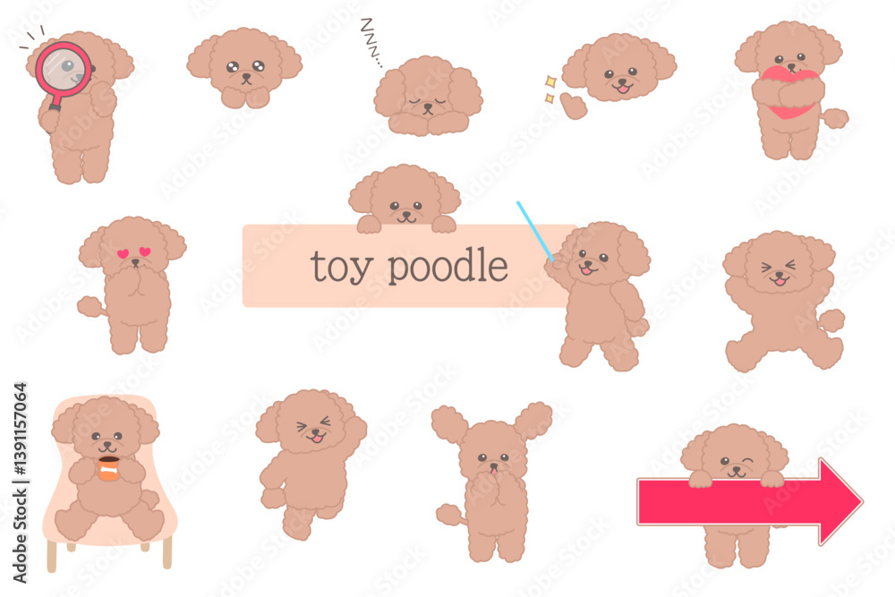 Obraz premium かわいいアプリコットの毛色のトイプードルのキャラクターのイラストセット