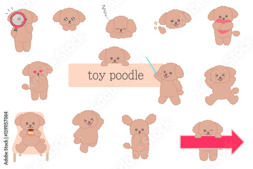 かわいいアプリコットの毛色のトイプードルのキャラクターのイラストセット