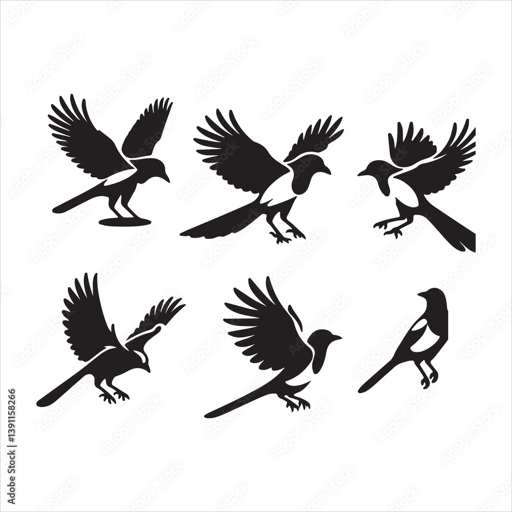 Obraz premium set of silhouettes of birds