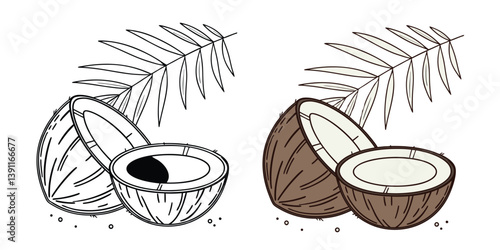 Tropical Coconut Shell Bowl vector illustration shows an isolated brown nut, a healthy and fresh ingredient