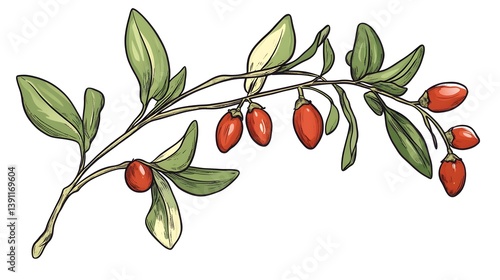 Goji berry illustration nature line art vibrant environment artistic view