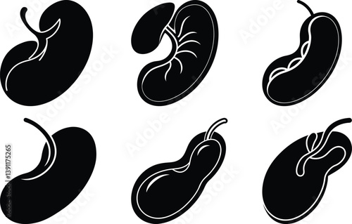 Kidney Bean silhouette vector
