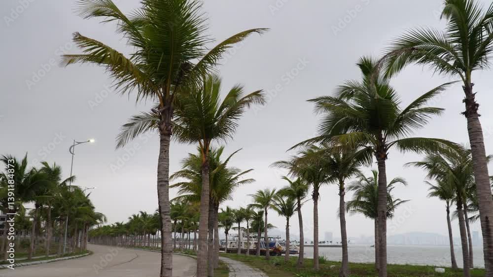 Walking Along Coastal Road Lined with Palm Trees