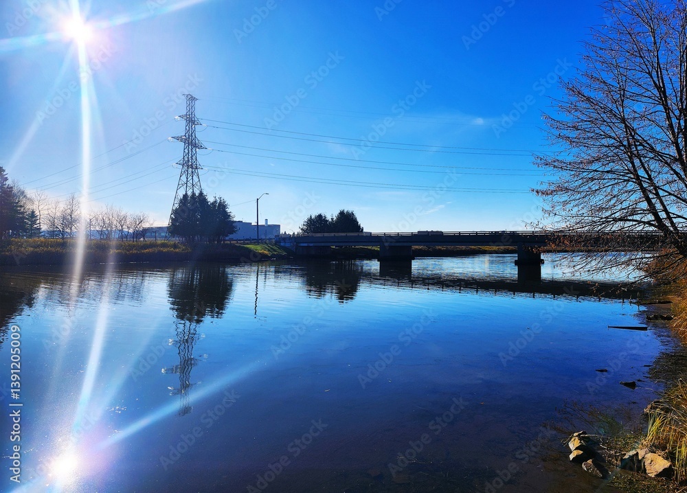 Obraz premium reflection of trees in the water
