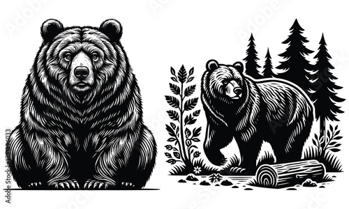bear vector