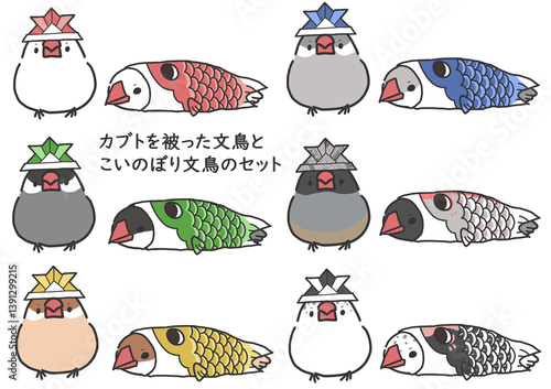 カブトを被った文鳥とこいのぼりに入っている文鳥のセット素材