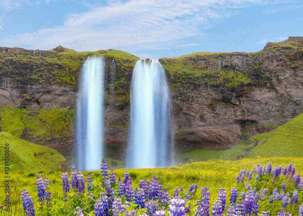 Seljalandsfoss waterfall with purple flower - Iceland