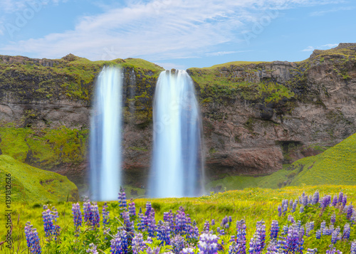 Obraz na płótnie Seljalandsfoss waterfall with purple flower - Iceland w salonie