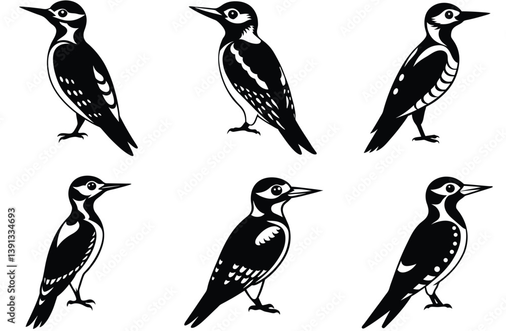 Fototapeta premium vector sihouette of black wood pecker