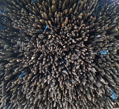 Artistic composition of pointed wooden stacked closely. Natural texture and organic form highlighted