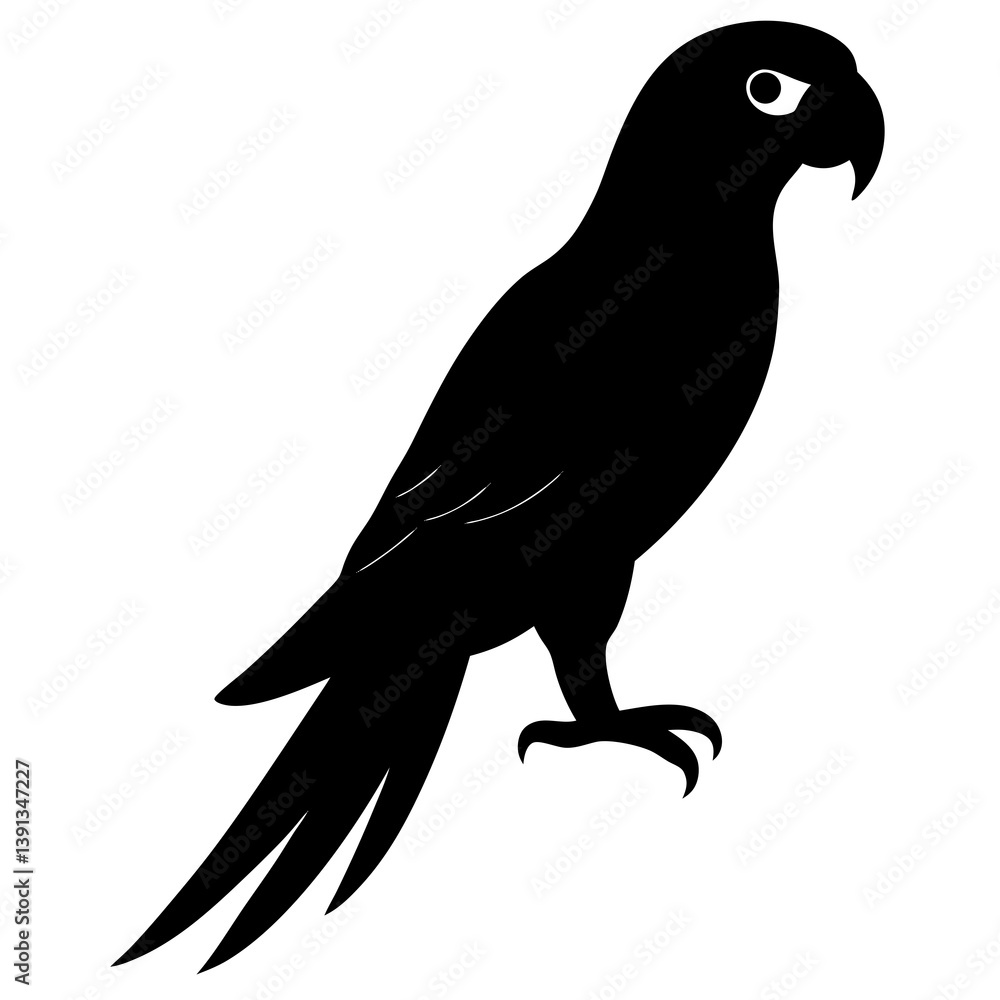 Fototapeta premium Macaw silhouette vector isolated on white background