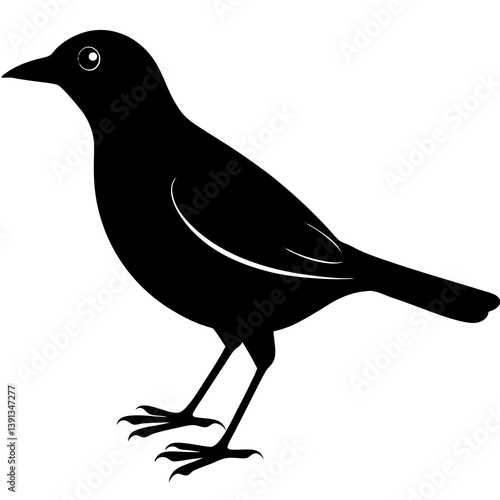 Myna silhouette vector isolated on white background