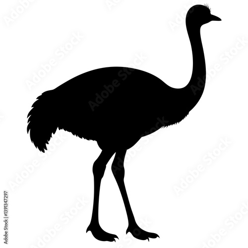 Ostrich silhouette vector isolated on white background