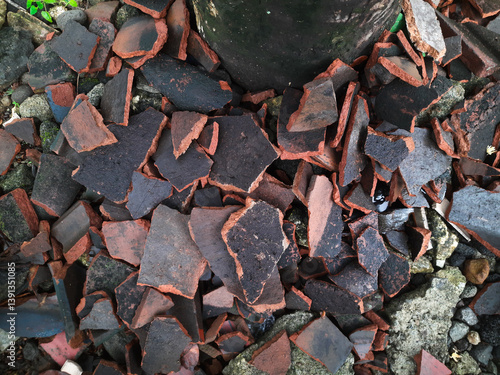 Broken clay roof tiles intentionally placed beneath a tree, a charming blend of man-made and natural elements