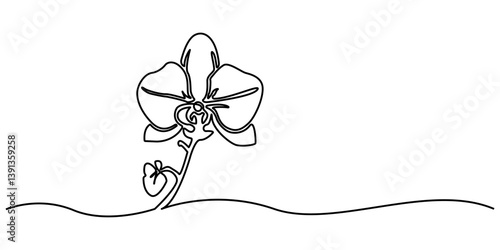 Single continuous line drawing orchid flower. Hand drawn orchid flowers. Minimalist art vector minimalism. Adding beauty to the interior of the room. One line design vector illustration.