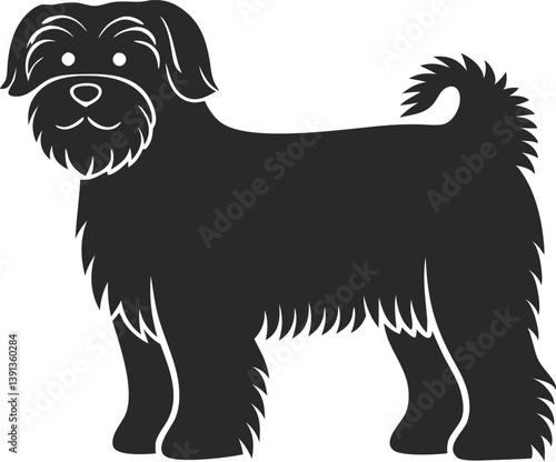 black and white dog