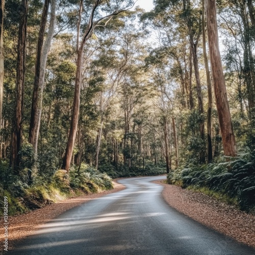 Serene asphalt road winding through lush green forest with tall trees and ferns in natural light