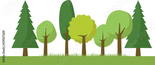 Forest Landscape Illustration