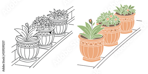 A cactus and flowers in a pot bring Terracotta Planters set nature indoors as a charming home decoration near a window