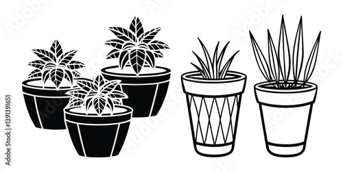 A cactus and flowers in a pot bring Terracotta Planters set nature indoors as a charming home decoration near a window