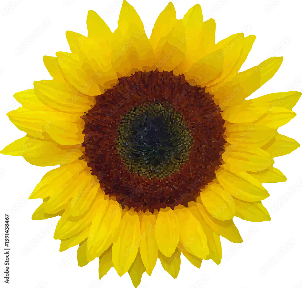 Fototapeta premium yellow flower bud vector10